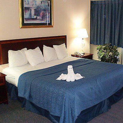 Lancaster Family Resort Smoketown  客房 照片